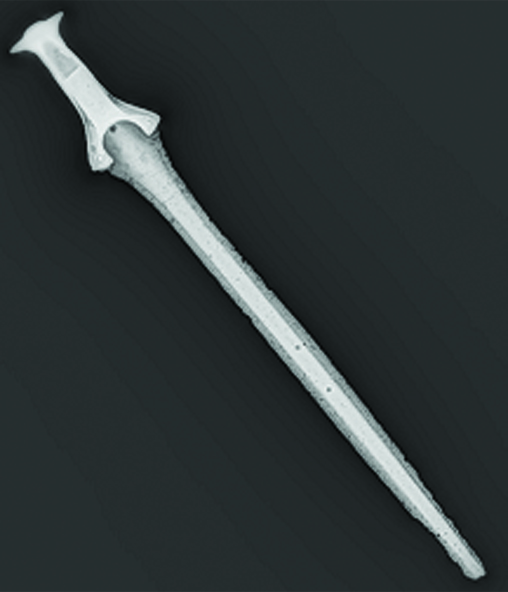 Example of a digital X-ray picture of a bronze sword from the early Bronze Age, c. 1600 BC.