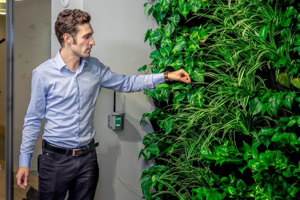Intelligent IoT-plantevæg