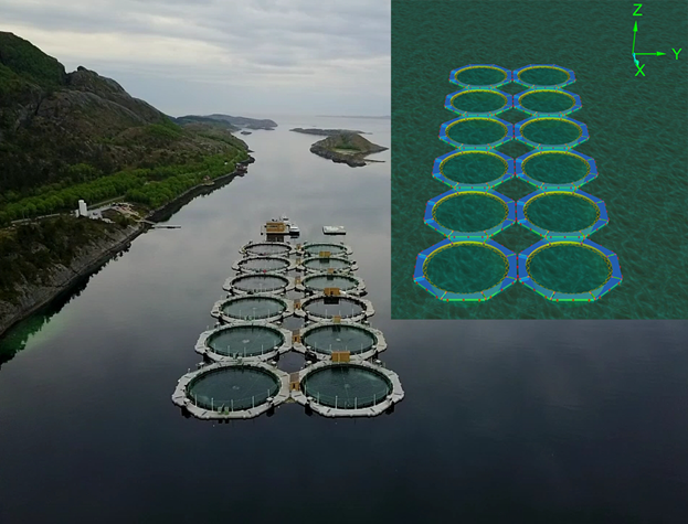 Hamsundet fish farming cages modelled