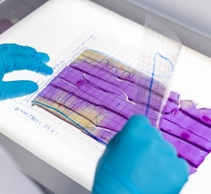 gloves fact lab