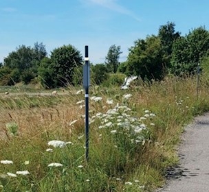Path