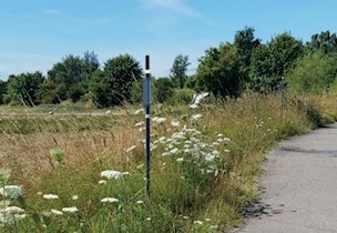 Vejsti
