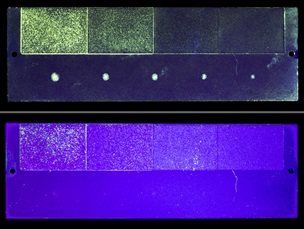 Figur 4. Testpanel, med ”penetrant” til venstre og ”penetrant” og ”fremkalder”’. Begge plader er belyst med UV-lys (365 nm).