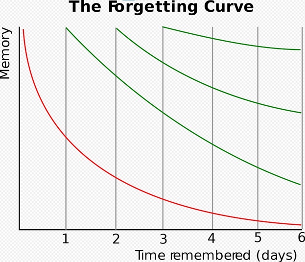 forgetting curve