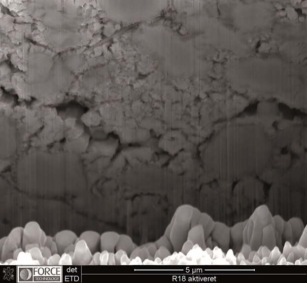 SEM picture of cross-section made by focused ion beam technique (FIB), activated NiAl coating