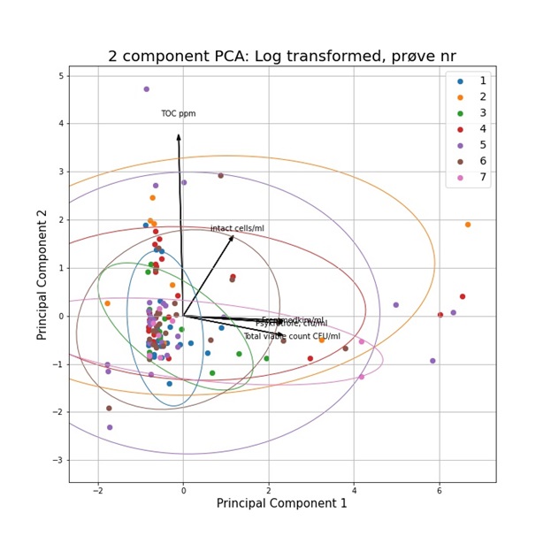 Det statistiske PCA-plot, der viser sammenhængen mellem variable og gruppering af udtagne prøver