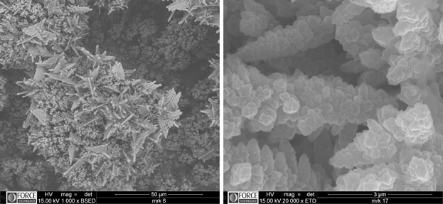 SEM images of patented noble metal free electrocatalyst material