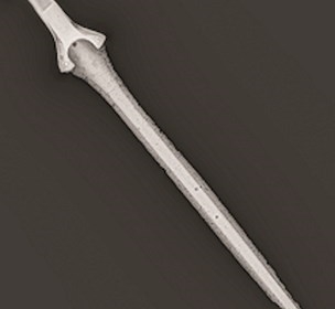 Example of a digital X-ray picture of a bronze sword from the early Bronze Age, c. 1600 BC.