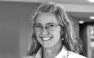 Annette Baltzer Larsen, Chefkonsulent