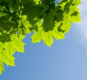 Green transition