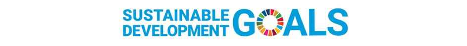 UN sustainable development goals logo