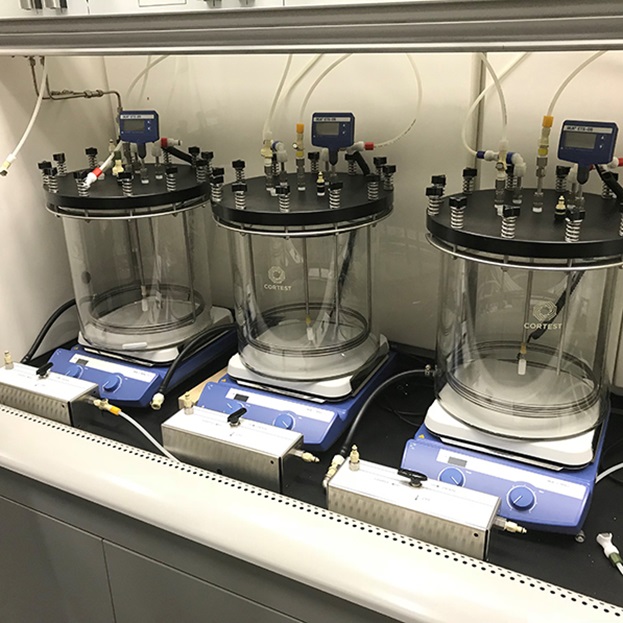 Test cells for multigas flow test in FACT Lab