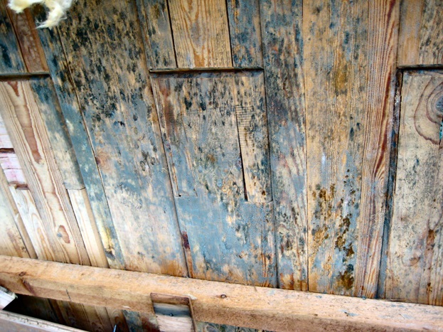 Wooden floors rot
