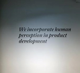 Human perception