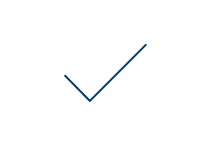 icon check mark