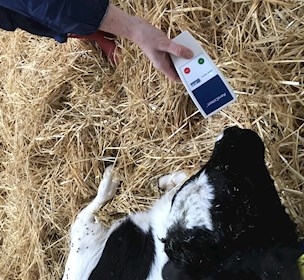 AeroDX - Sygdomsovervågning og diagnosticering i kvægbranchen