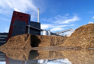 bioenergi flis