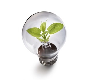 Green innovation sustainable development