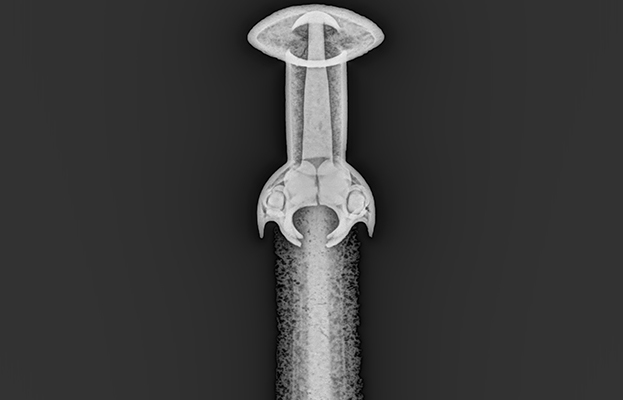 Dig X-ray Bronze sword