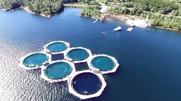 Fish farms closed cage aquaculture