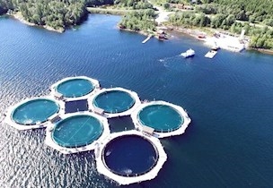 Fish farms closed cage aquaculture