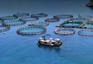 Fish farms closed cage aquaculture
